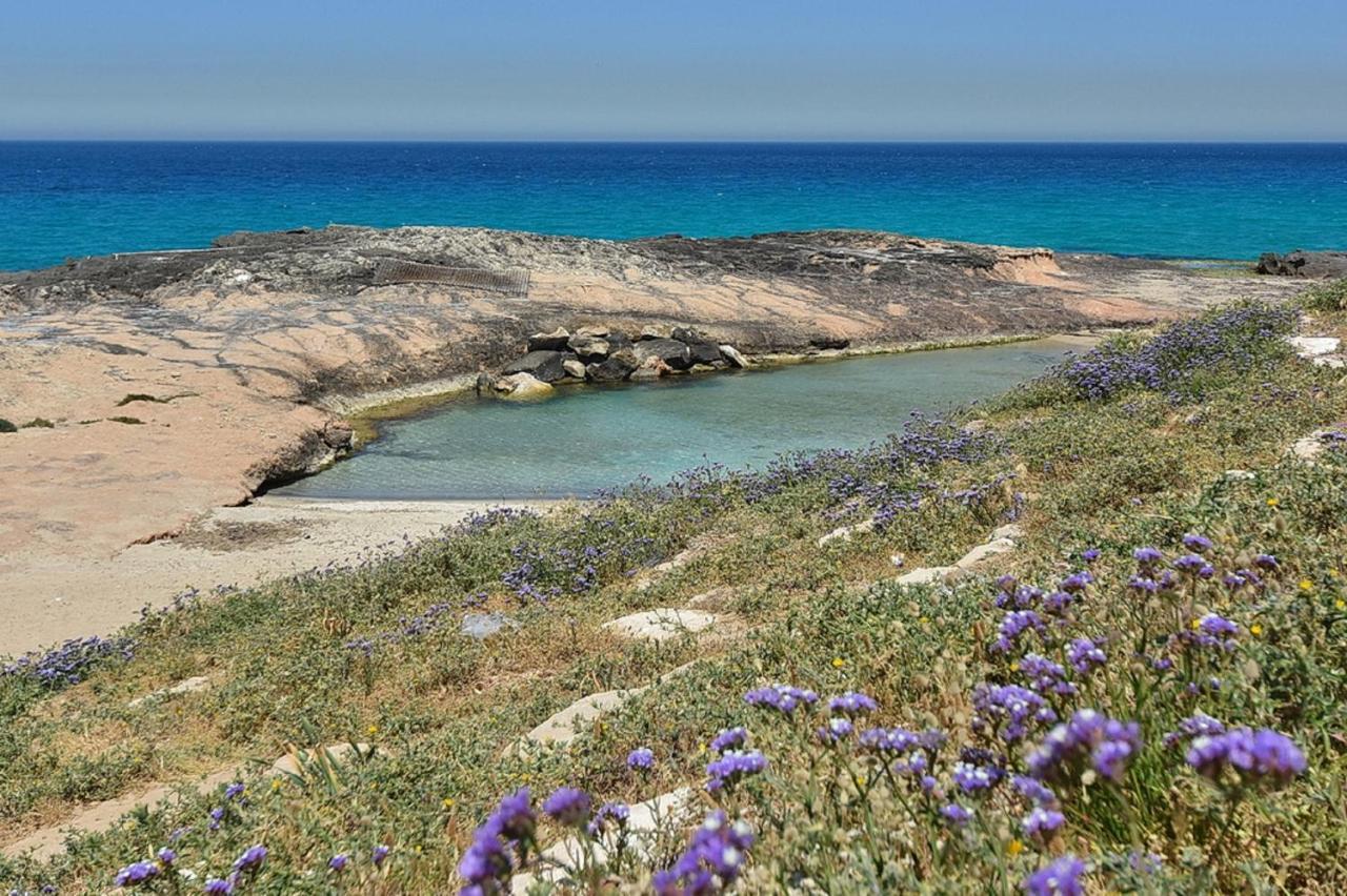 דירות נהריה Yam Achziv מראה חיצוני תמונה